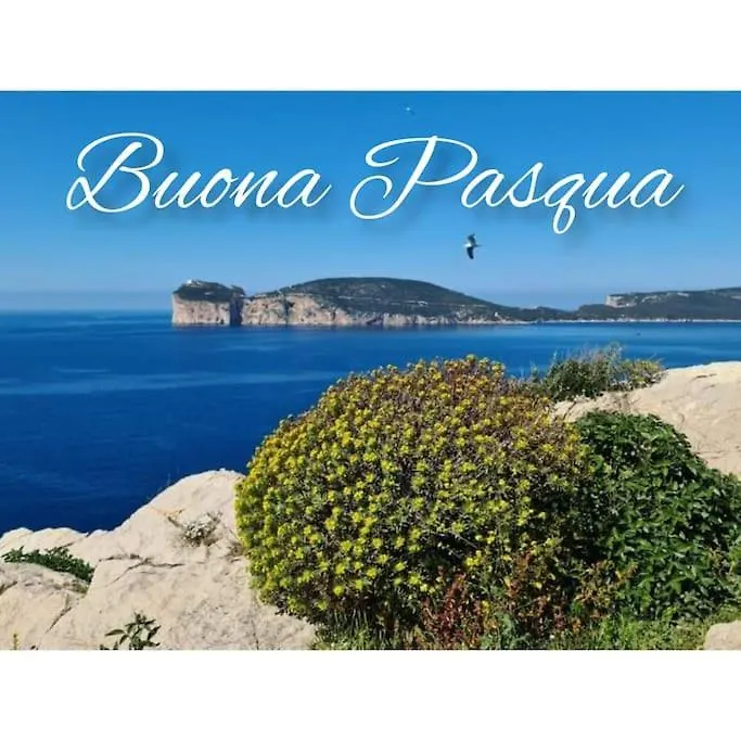 阿尔盖罗Casa Benedetta, Elegant Penthouse With Sea View & 3 Terraces Next To Lungomare Dante公寓 0*, 阿尔盖罗 意大利